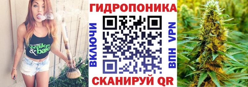 Каннабис Amnesia  купить наркотики цена  Качканар 